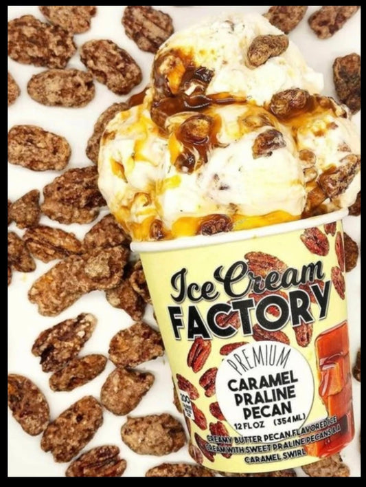 Ice Cream Factory- Caramel Praline Pecan