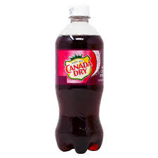 Canada Dry Black Cherry Wishniak 20oz